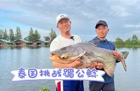 寰楀疄1120-开云电竞